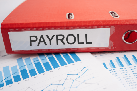 Payroll ring binder sat on papers