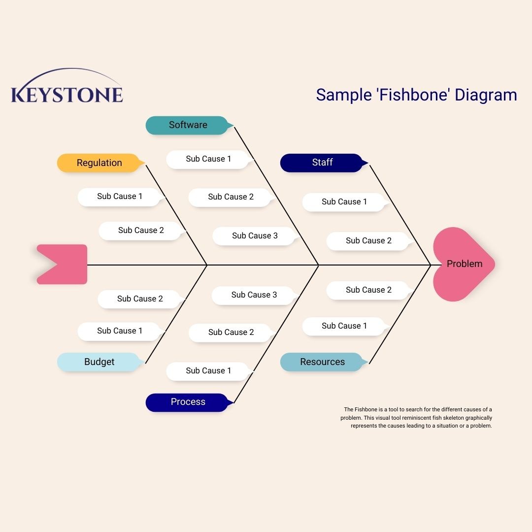 Fishbone diagram split by regulation, software, staff, budget, process, and resources