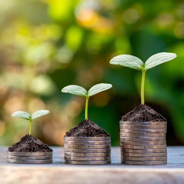 Three piles of increasing amounts of coins with a small plant on top of each at different growth stages